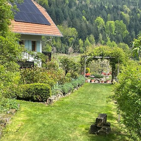The Moosbach Garden Guest House Nordrach ภายนอก รูปภาพ