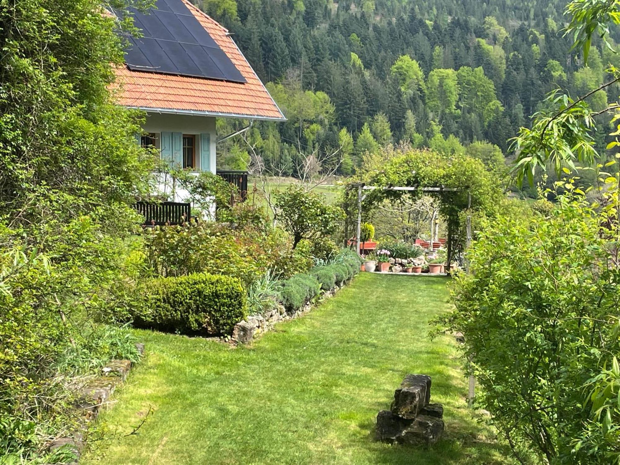 The Moosbach Garden Guest House Nordrach ภายนอก รูปภาพ