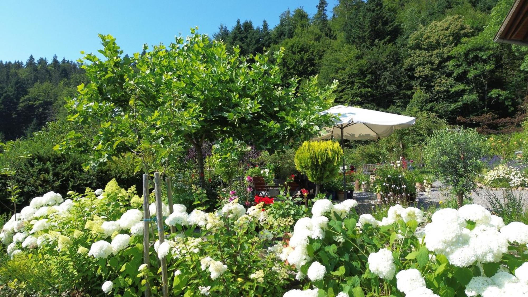 The Moosbach Garden Guest House Nordrach ภายนอก รูปภาพ